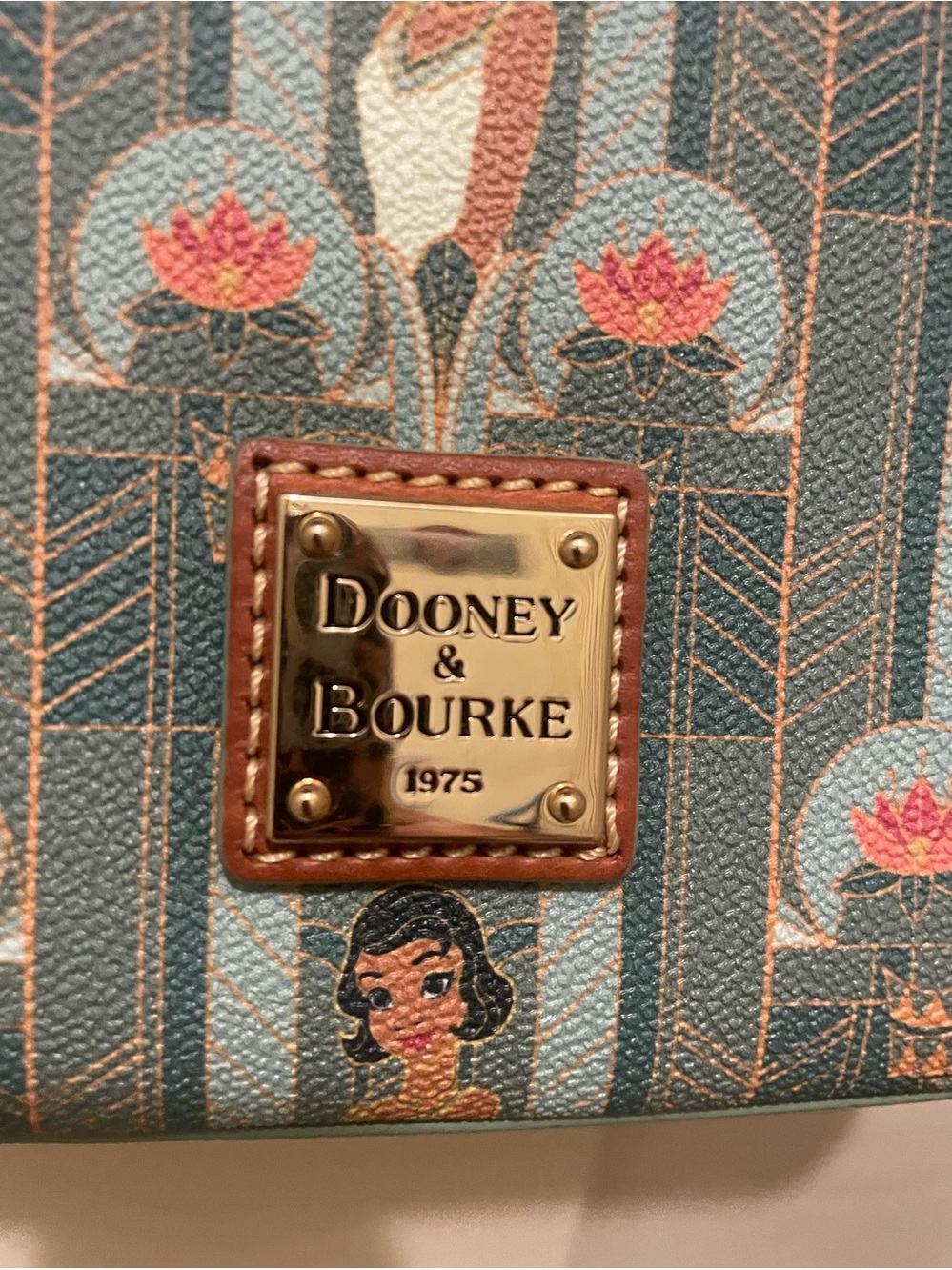 Vintage Dooney & Bourke Disney Princess and the frog - Picture 2 of 6